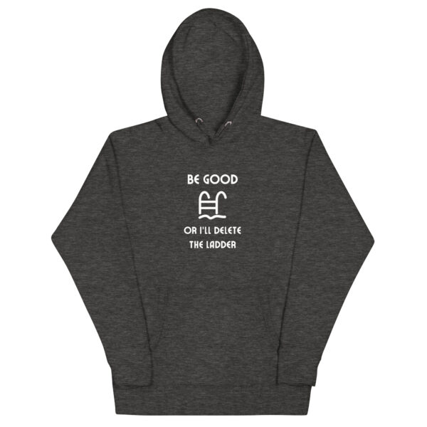 "Be Good Or I'll Delete The Ladder" Unisex Hoodie